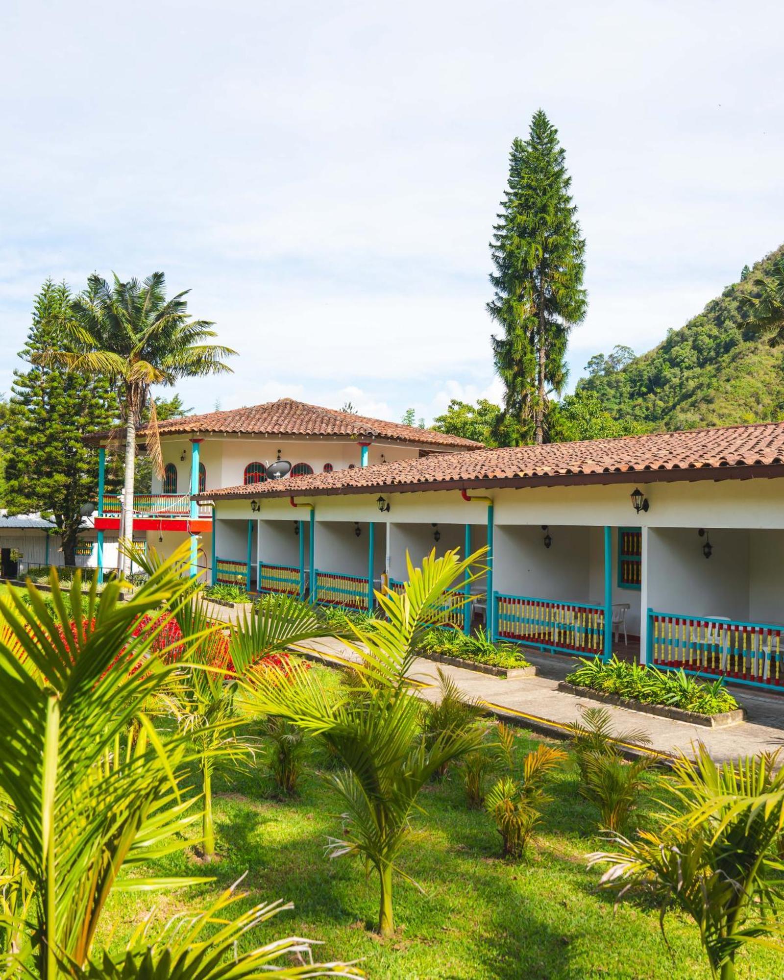 Dreamer Cocora Salento Exterior foto